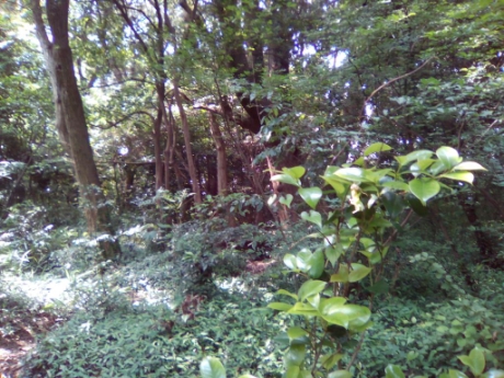 画像5